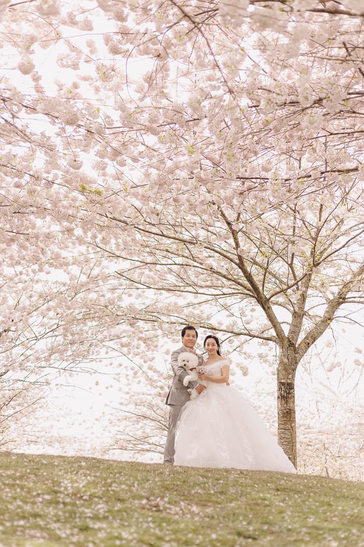 Wedding photoshoot picture of Cherie and Derrick